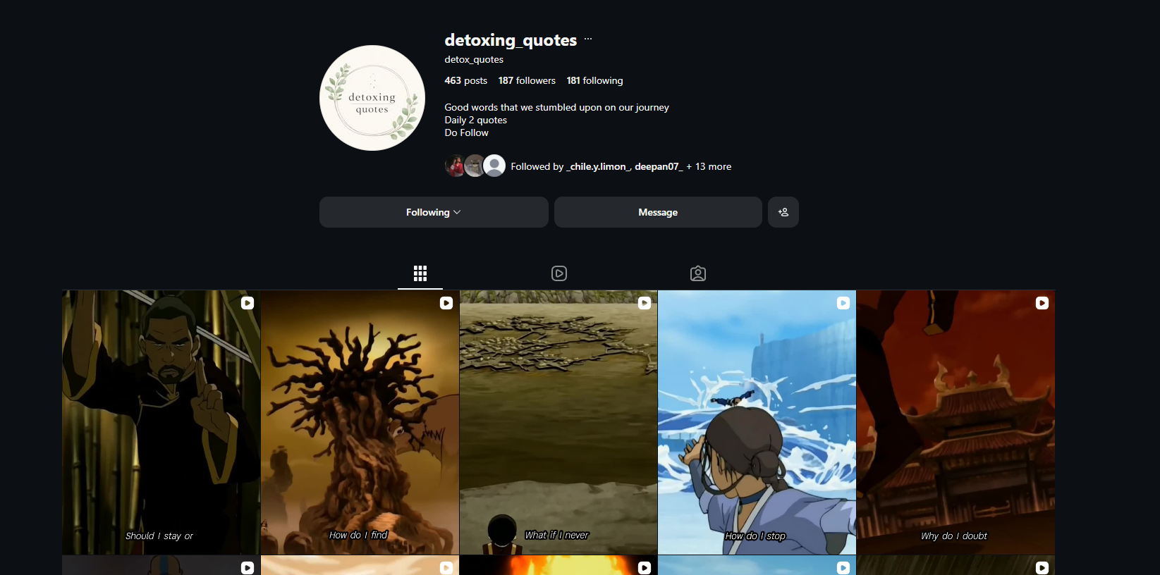 Instagram profile for detoxing_quotes showing its quote video grid